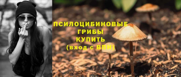 прущие грибы Зеленодольск
