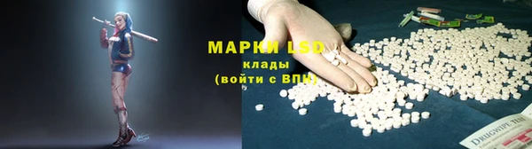 прущие грибы Зеленодольск