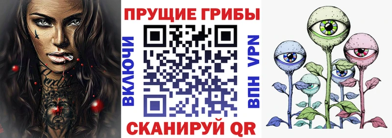 Псилоцибиновые грибы Psilocybe  Купить закладки  Гуково 